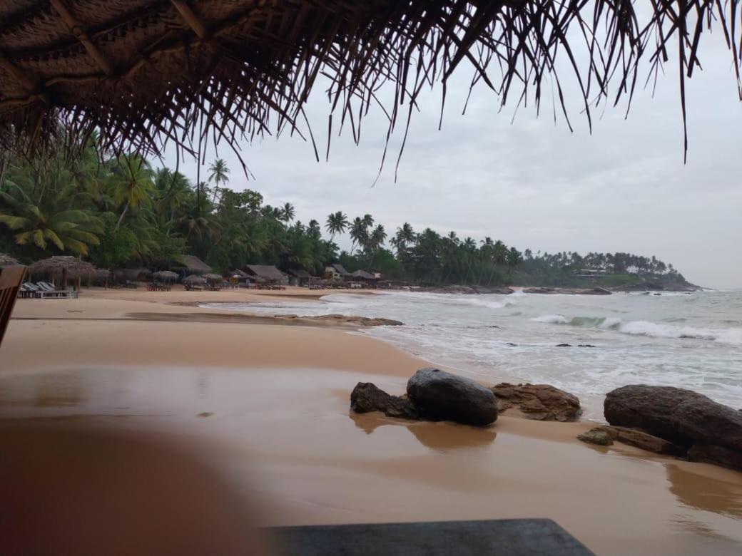 Silent Cabana And Restaurant Marakolliya, 탕갈레 외부 사진